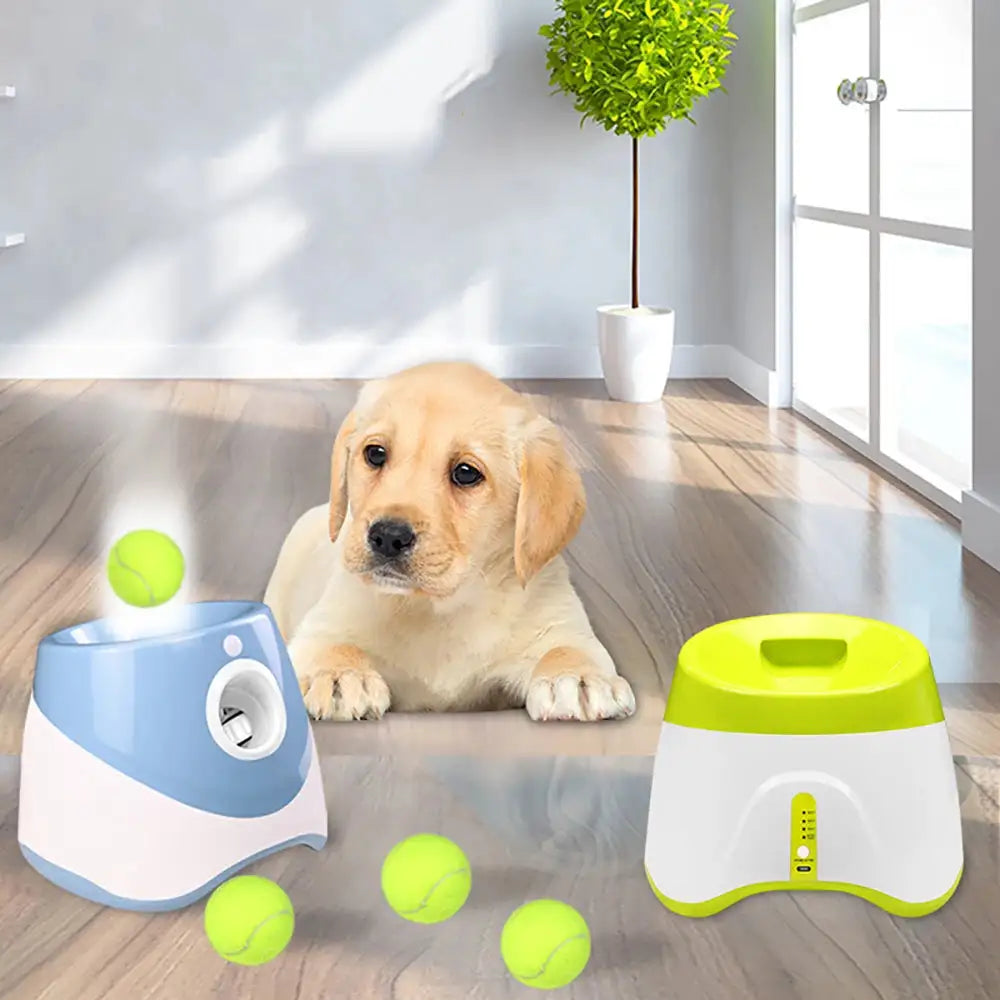 LovePet Automatic Tennis Ball Launcher