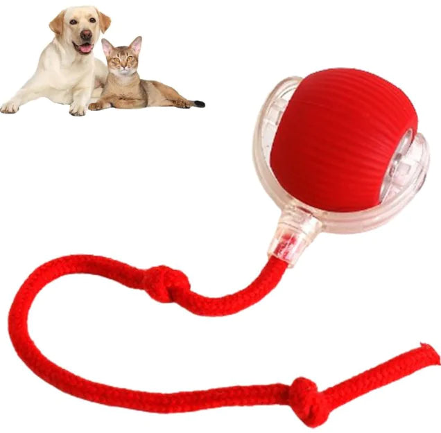 LovePet Smart Rolling Pet Ball