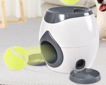 Fetch 'N Treat Play Toy for Dogs